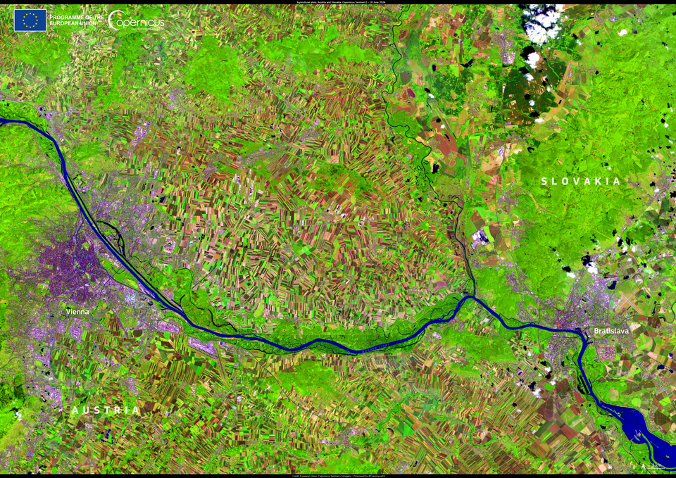 Satellite image showing a mosaic of agricultural fields in many shapes, colors, and growth stages